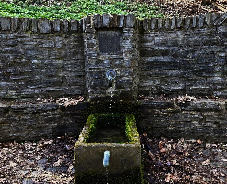 Joducusbrunnen im Wald von Wehlen