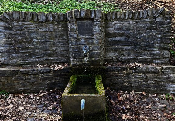 Joducusbrunnen im Wald von Wehlen