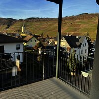 IMG_5384