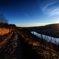 Auf dem Moselsteig bei Winningen