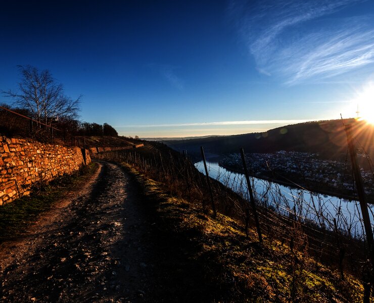 Auf dem Moselsteig bei Winningen