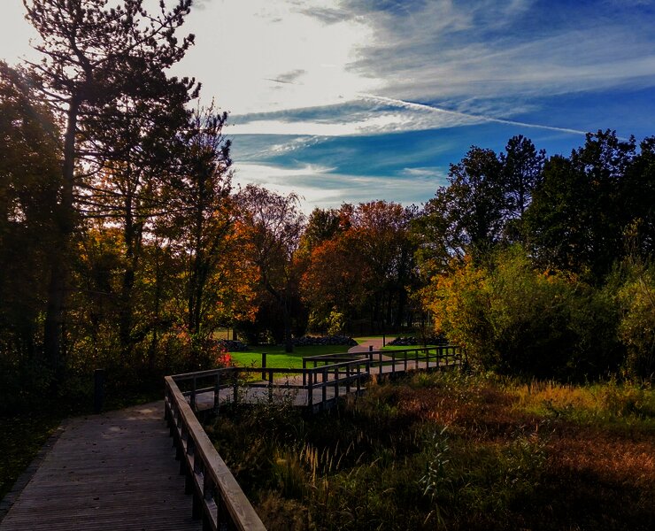 Kurpark Bernkastel-Kues