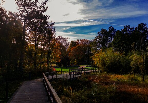 Kurpark Bernkastel-Kues