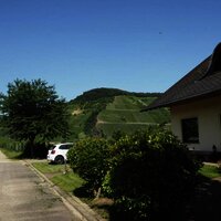 Direkt im Weinberg