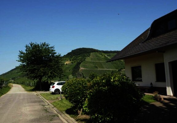 Direkt im Weinberg