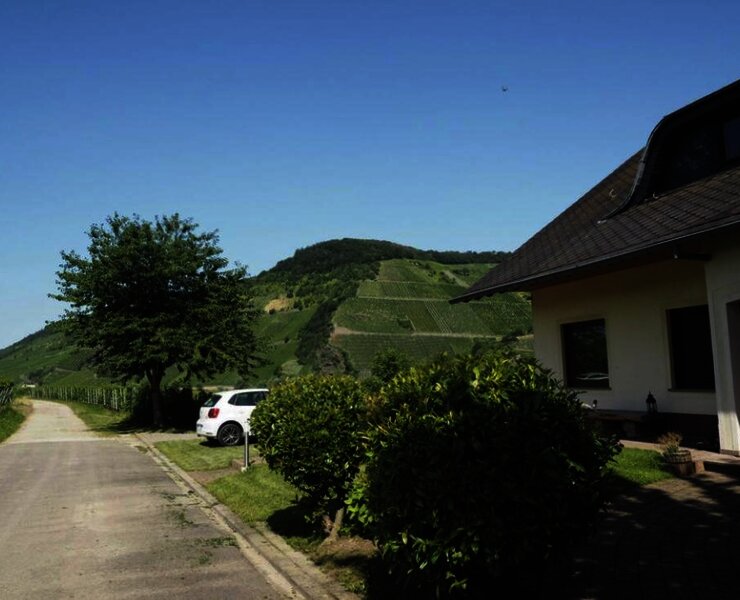 Direkt im Weinberg