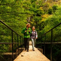 Übergang auf dem Moselsteig Etappe 20