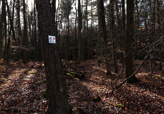 Weglogo entlang der Strecke