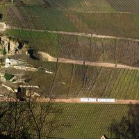 Blick vom Wohnzimmer