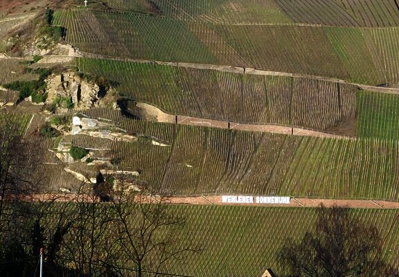 Blick vom Wohnzimmer