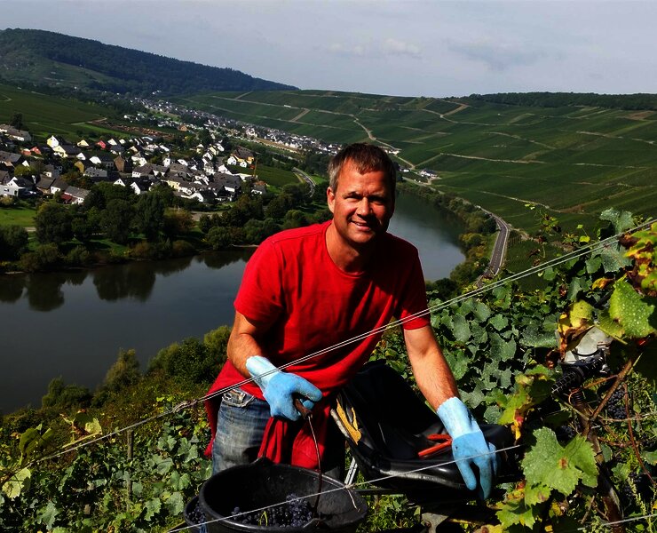 Winzer im Weinberg