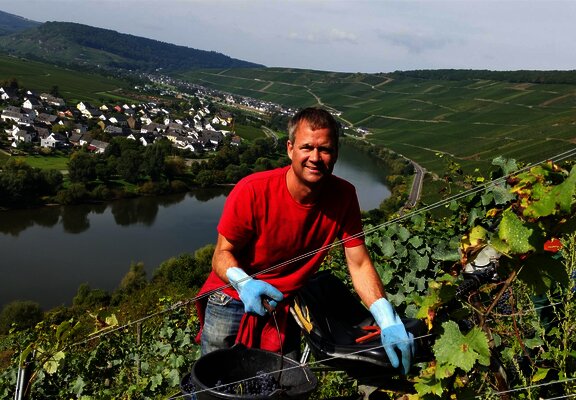 Winzer im Weinberg