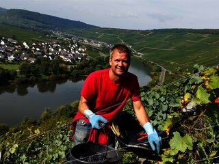 Winzer im Weinberg