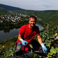 Winzer im Weinberg