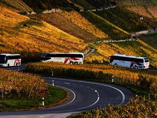 Feuerer Busse auf Fahrt an der Mosel