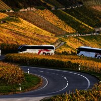 Feuerer Busse auf Fahrt an der Mosel