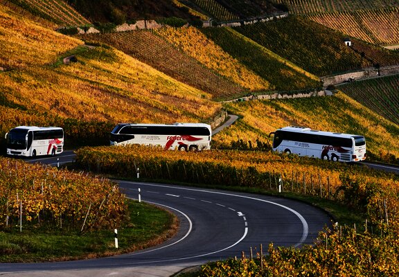 Feuerer Busse auf Fahrt an der Mosel