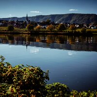 Ausblick auf Piesport