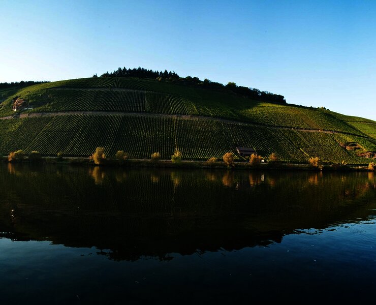 Mosel