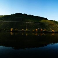 Mosel