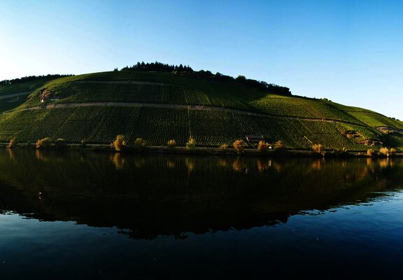 Mosel