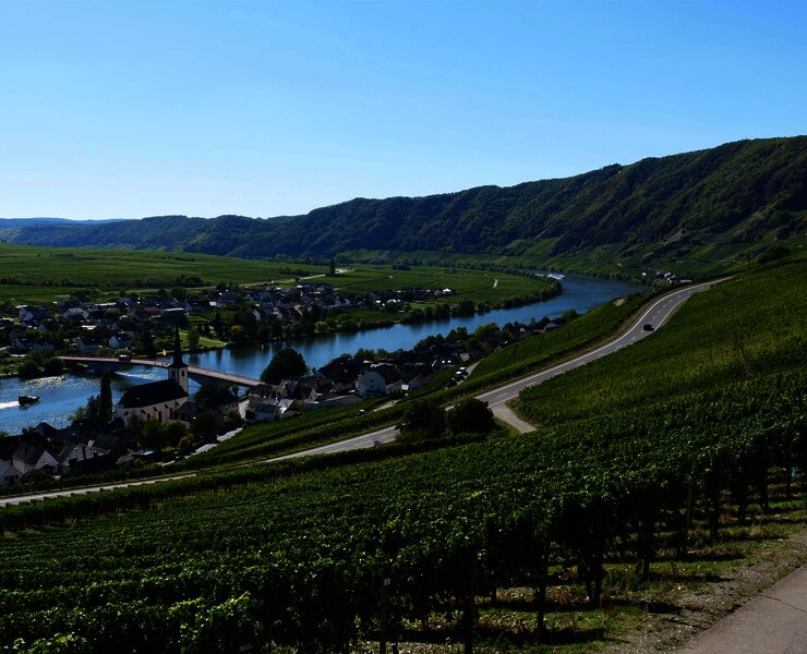 Aussicht auf Piesport an der Mosel