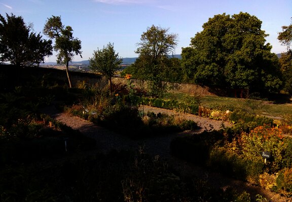 Abtsgarten in Klausen