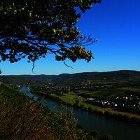 Ausblick Richtung Bernkastel-Kues