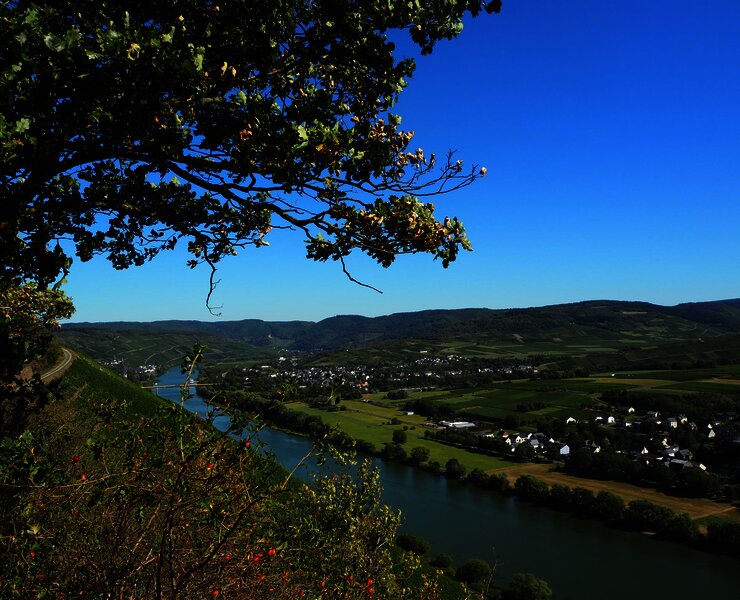 Ausblick Richtung Bernkastel-Kues