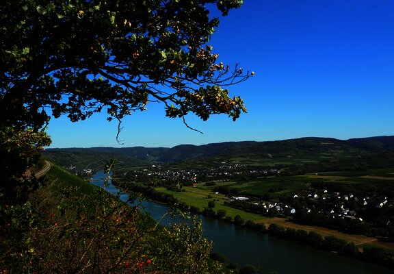 Ausblick Richtung Bernkastel-Kues