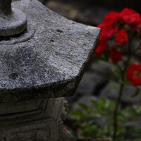 Japanische Leuchte im Garten