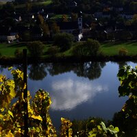 Blick auf die Mosel und die Simultankirche Brauneberg