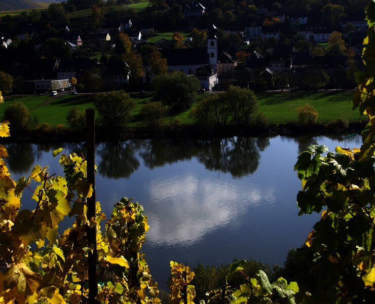 Blick auf die Mosel und die Simultankirche Brauneberg
