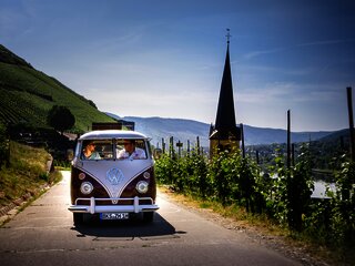 Bulli Tour durch die Weinberge
