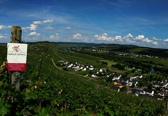 Ausblick auf Kesten von einem unserer Weinberge