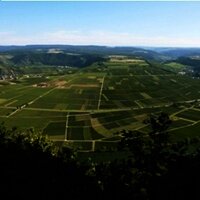 Panorama "Großer Moselblick"