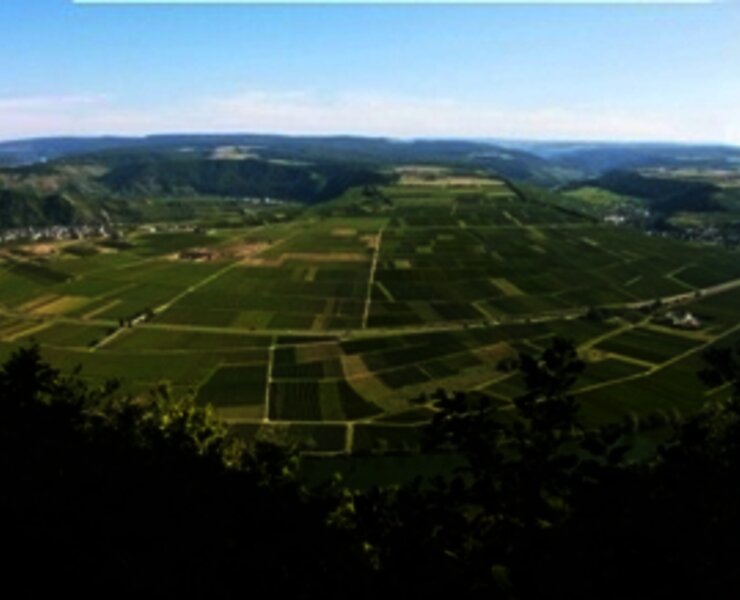Panorama "Großer Moselblick"