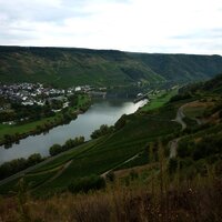 Die Staustufe und der Ort Wintrich