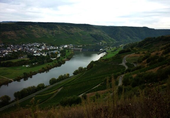 Die Staustufe und der Ort Wintrich