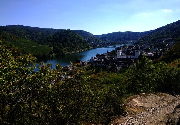 Karden mit St.-Castor-Kirche ('Mosel-Dom')