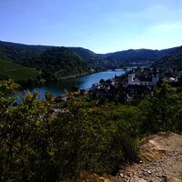 Karden mit St.-Castor-Kirche ('Mosel-Dom')