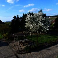 Frühling im Hof, Sicht aus Fewo 1