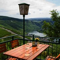 Moselpanorama pur! Foto_Hotel