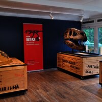 Das Bild zeigt eine Ausstellung im Dinopark Teufelsschlucht.