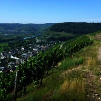 Panoramaweg hoch über Klüsserath