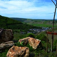 Blick auf Veldenz und den Veldenzer Kirchberg