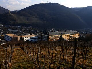 Cusanus- Krankenhaus