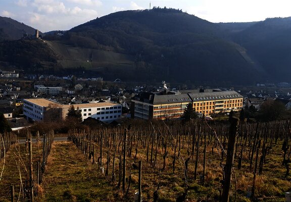 Cusanus- Krankenhaus