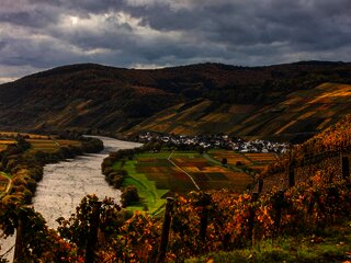 Hoffest in Kesten an der Mosel