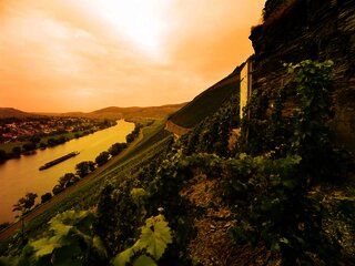 Weinlage Brauneberger Juffer